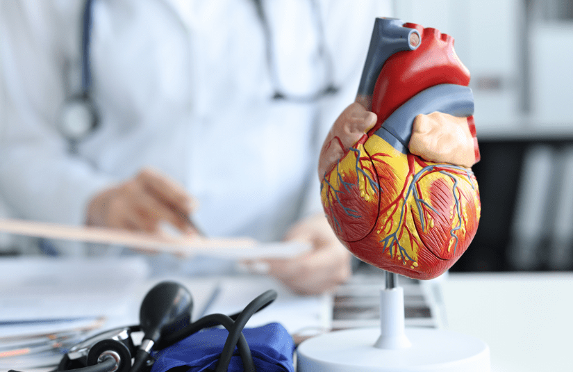 Structural Heart Disease Program